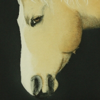 Pale horse